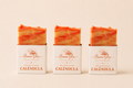 Pack Caléndula x3