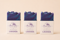 Pack Lavanda x3