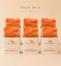Pack Caléndula x6